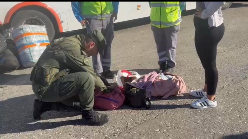 Hallaron tres kilos de cocaína en un tour de compras cuyo destino final era Mendoza