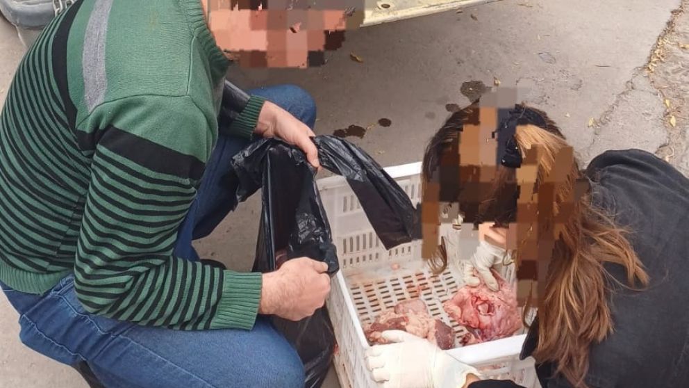 La Polic�a de Mendoza secuestr� 50 kilos de achuras que eran transportadas sin habilitaci�n en San Mart�n