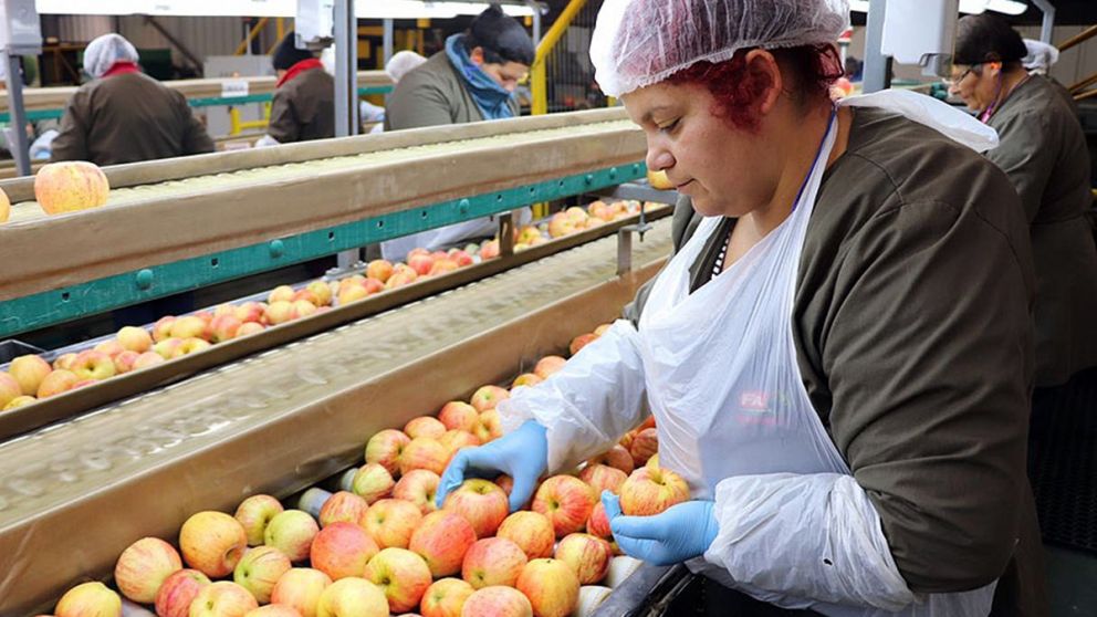 Fruta industrializada mendocina: como la competencia internacional desaf�a al sector local