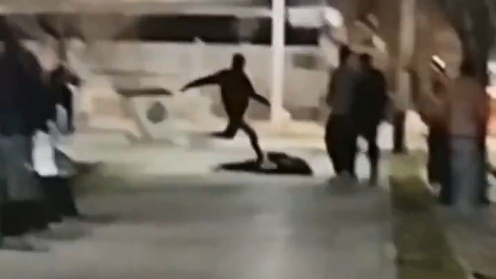 Pasaron a disponibilidad a un polic�a que pate� brutalmente a un joven en una plaza de Tunuy�n