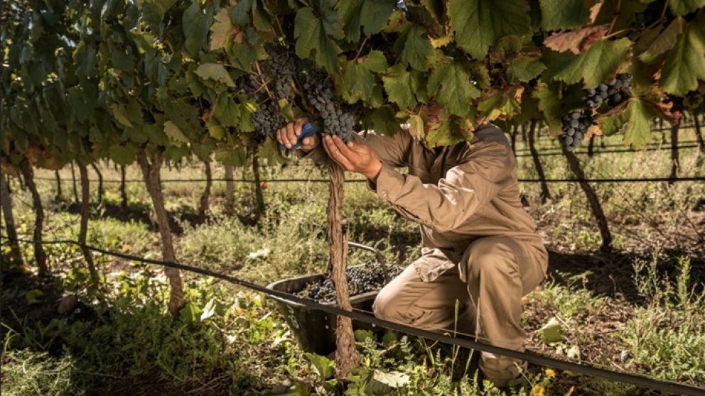 El Grupo Fecovita sum� una nueva certificaci�n de sostenibilidad