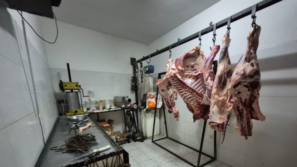 Decomisaron en Godoy Cruz 235 kilogramos de carne y clausuraron varias carnicer�as por riesgo sanitario