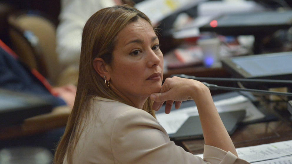 Apoyada en Carlos Ciurca, una legisladora justicialista levanta el perfil y comienza a pensar en 2027