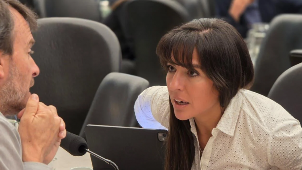 La nueva apuesta de la UCR con la mendocina Pamela Verasay al frente en Diputados