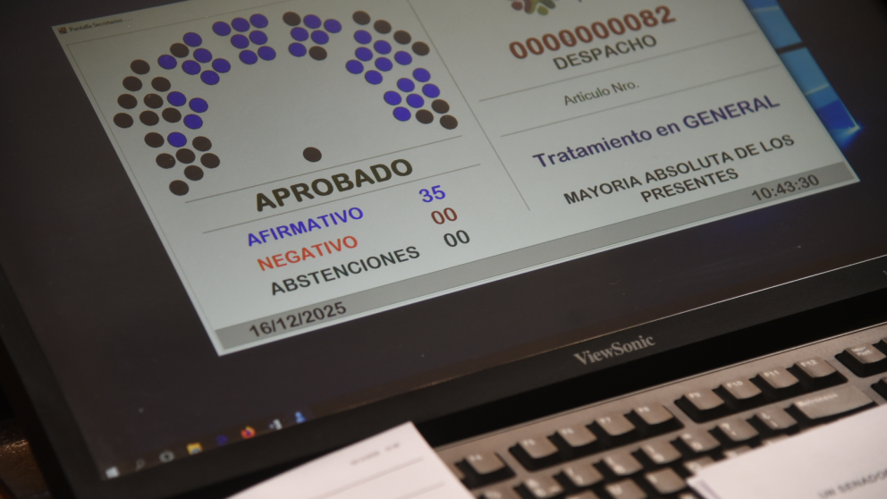 Avanz� en el Senado de Mendoza el proyecto que permite denunciar infracciones viales mediante videos caseros
