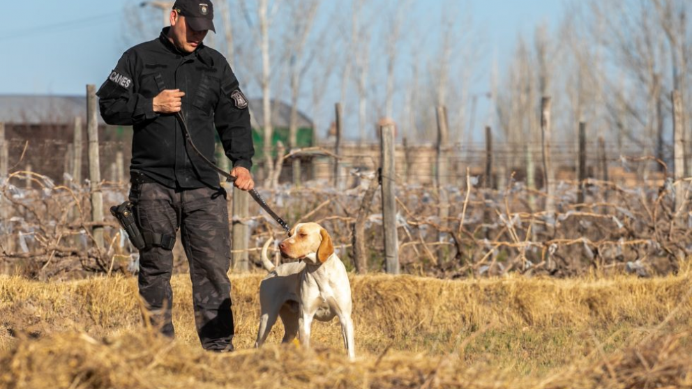 Se lo tragó la tierra: intensa búsqueda de un menor que desapareció en San Rafael
