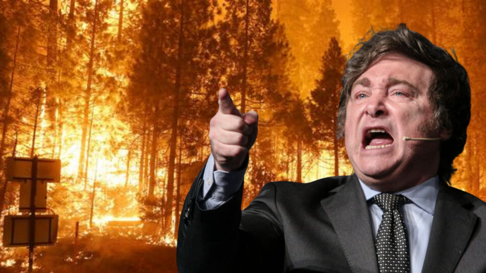 Extraordinarias: cuestionaron la falta de la emergencia ígnea en la Patagonia