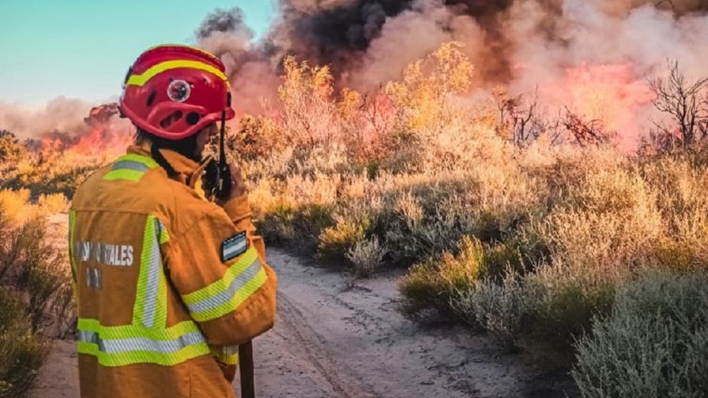 Mendoza endurece controles y tecnología para combatir incendios con multas de hasta $70 millones
