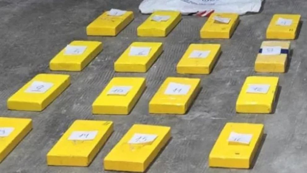 Parte de los ladrillos de coca�na incautados por Gendarmer�a en San Juan. Ven�an a Mendoza. Gentileza: Diario Huarpe.
