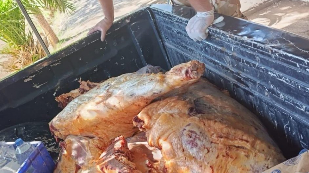 Lucha contra el abigeato: secuestraron más de 250 kilos de carne en mal estado en Alvear