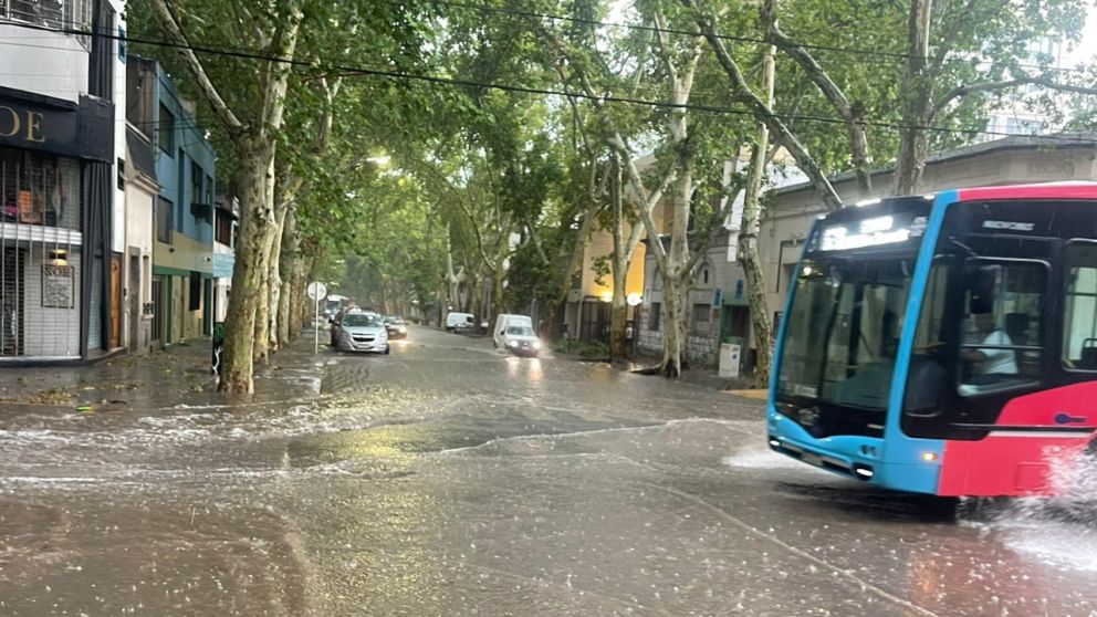 Diario Mendoza Today