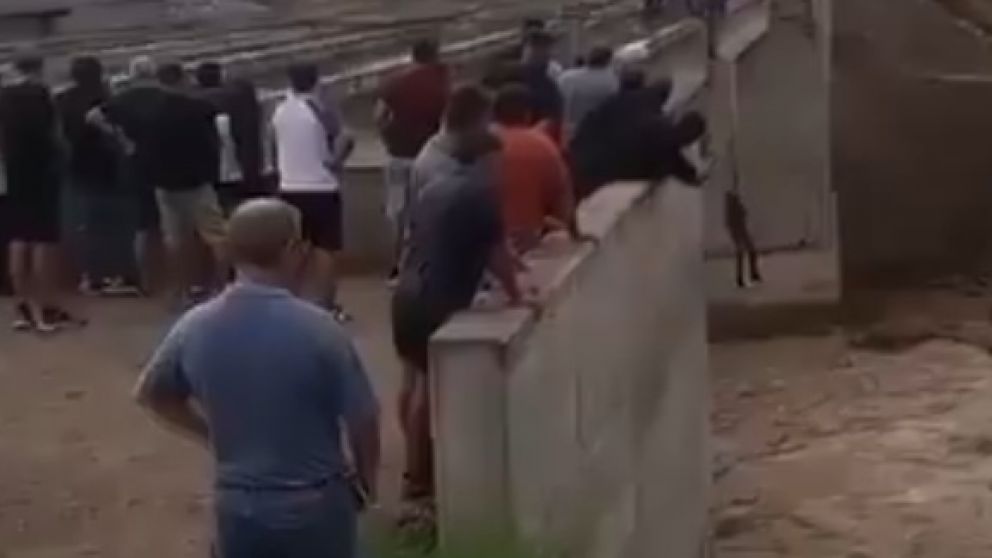 Captura de video