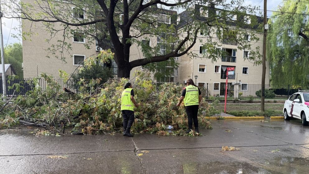 Temporal en Mendoza: el Gobierno provincial activó un amplio operativo y confirmó que no hubo víctimas