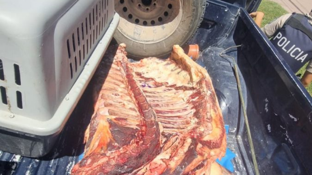 Secuestraron m�s de 100 kilos de carne en mal estado en Tunuy�n