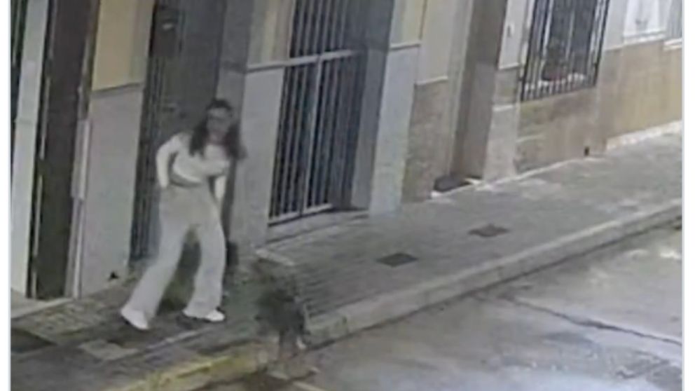 Así un perro logró frustrar el secuestro de su dueña
