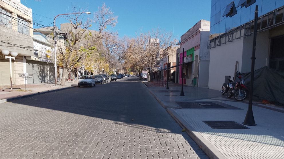 Preocupaci�n en el Consejo Regional de Defensa del Arbolado P�blico en San Rafael por cambios en la Ley 7874