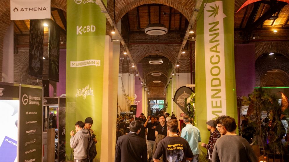 Mendoza se consolida como un polo estratégico para producir cannabis