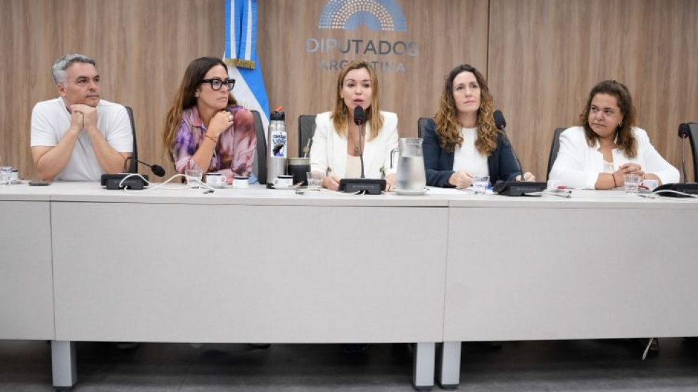 C�mo impactar� en la provincia que dos mendocinos sean autoridades de la Comisi�n de Energ�a y Combustibles en Diputados