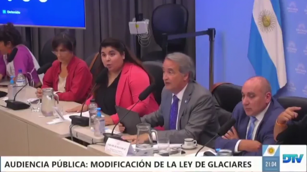 Video: el ins�lito grito de una periodista por la Ley de Glaciares en el Congreso