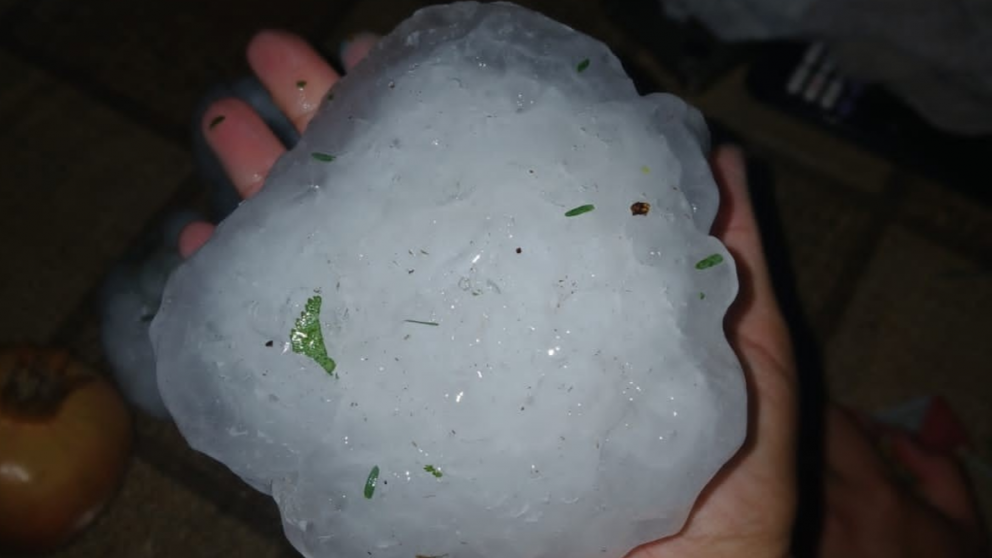 Video: una tormenta granicera caus� estragos en San Rafael