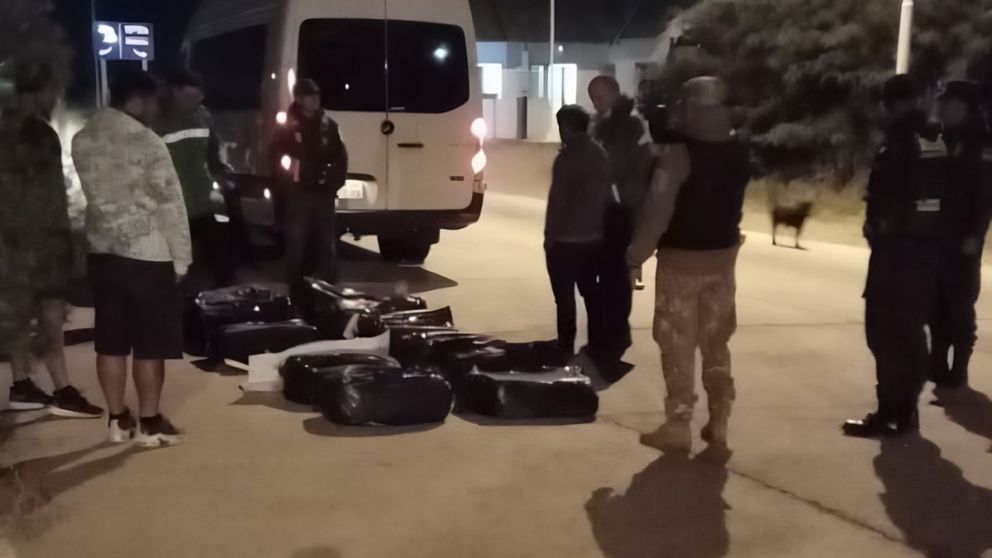 Tupungato: secuestraron más de 200 kilos de pescado que no contaba con cadena de frío