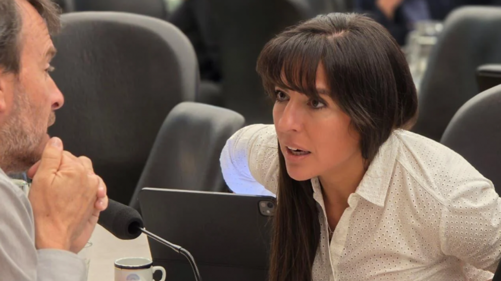 Ley de Glaciares: con el respaldo del ‘cornejismo’, el oficialismo va por el dictamen