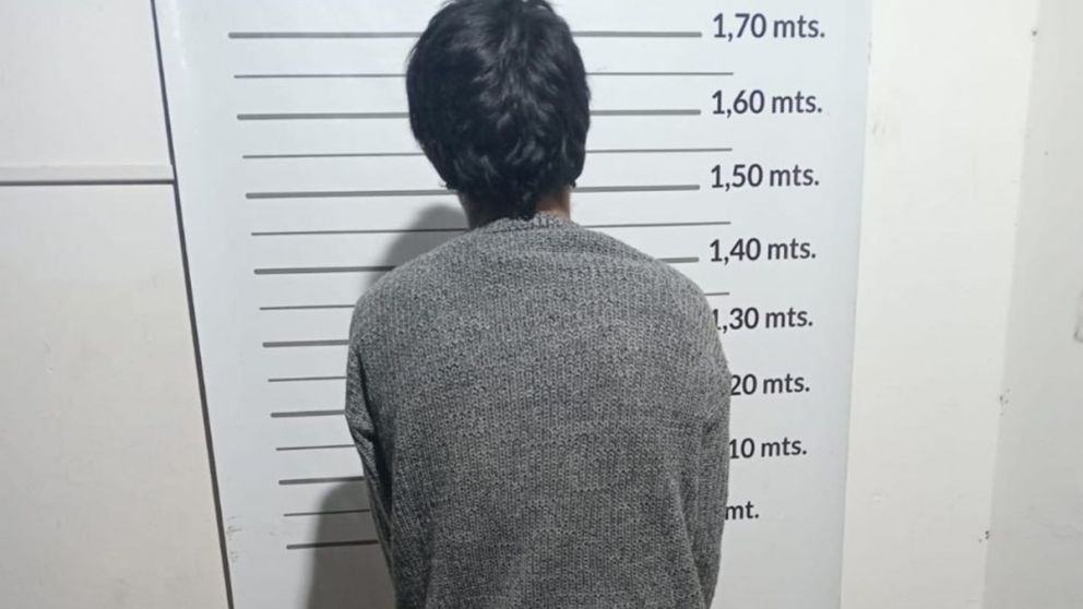 Maipú: detuvieron a un hombre por robar un inodoro y secuestraron vehículos en distintos operativos