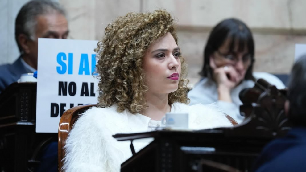 Restricción a la prensa: la iniciativa que motoriza Lourdes Arrieta para ponerle fin a las “agresiones”