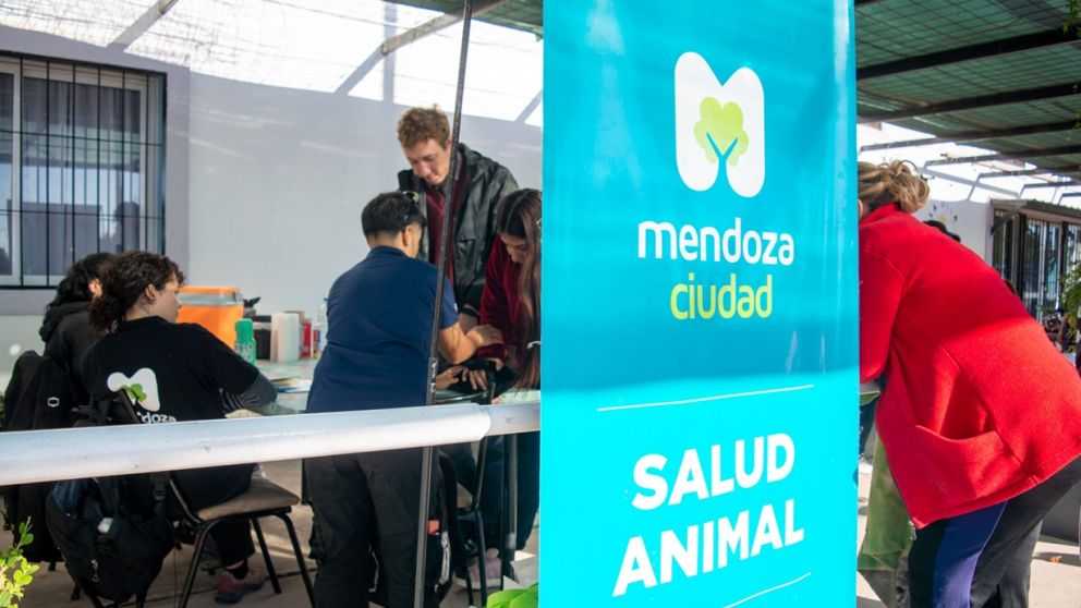 En detalle, todos los servicios veterinarios gratuitos que ofrece la Ciudad de Mendoza