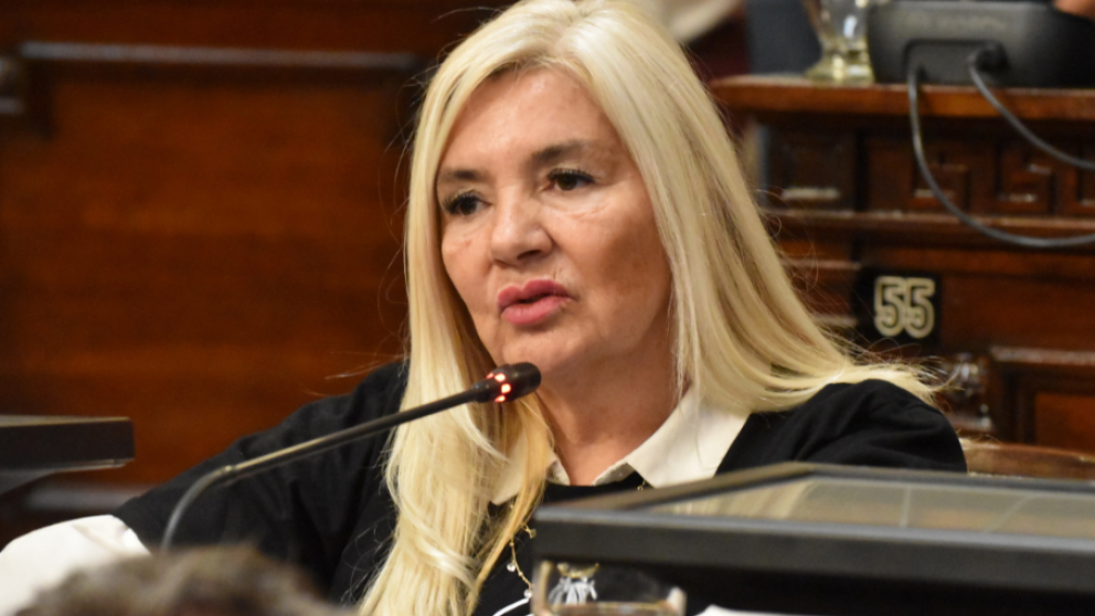 Avanz� en Diputados una iniciativa del PRO para frenar el maltrato animal en Mendoza