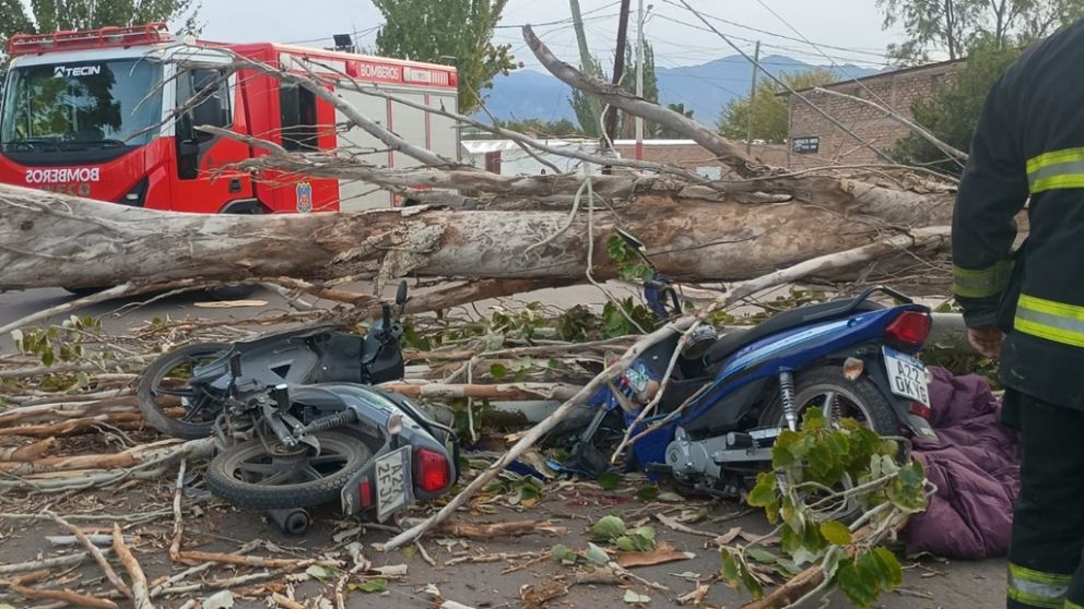 El saldo que dej� el viento Zonda en Mendoza: un muerto y decenas de da�os materiales
