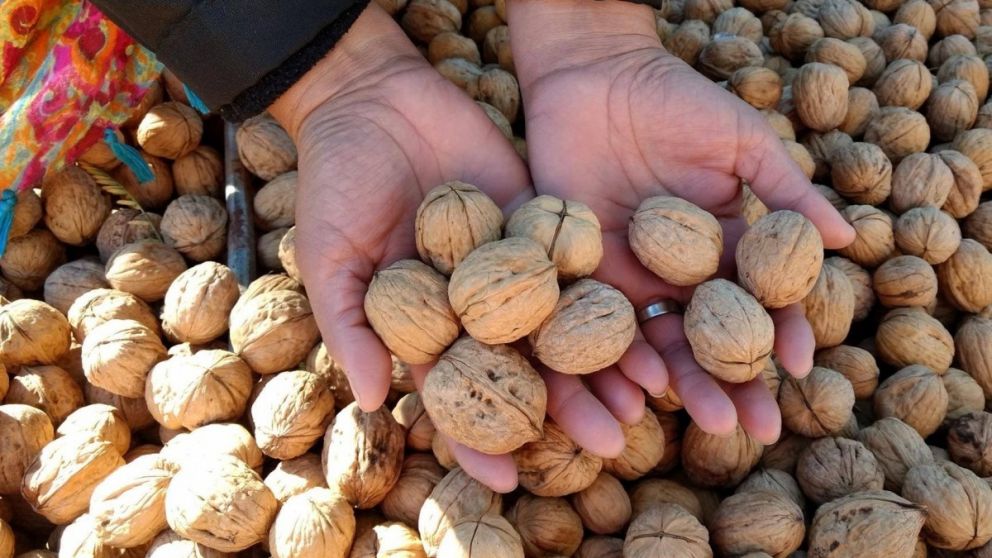 De como el acuerdo Mercosur-UE impulsa un cambio de paradigma en las exportaciones de Mendoza