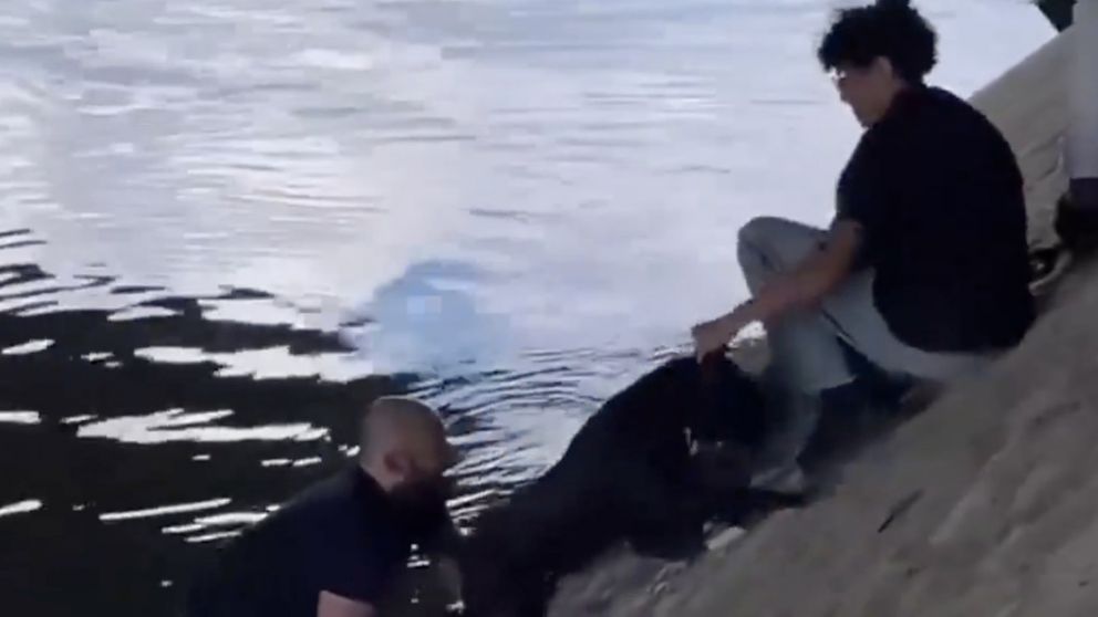 El conmovedor gesto de transe�ntes parisinos con un perro atrapado en el r�o