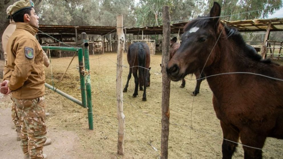 Foto: Gobierno de Mza.