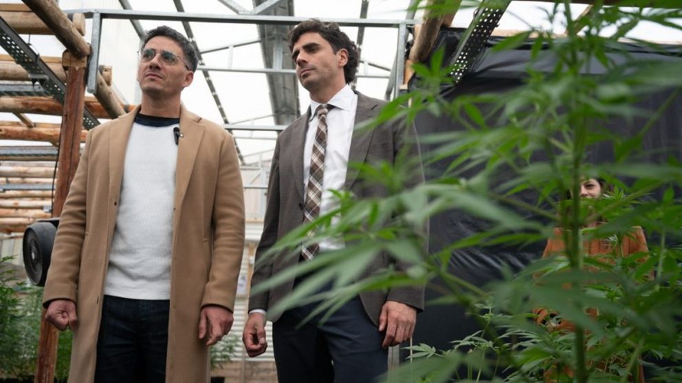 Mendoza suma la primera empresa al régimen productivo de cannabis medicinal y cáñamo industrial