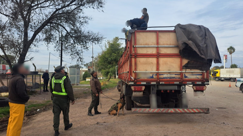 Secuestraron más de 1.000 litros de éxtasis que iban a ser enviados a Chile por Mendoza