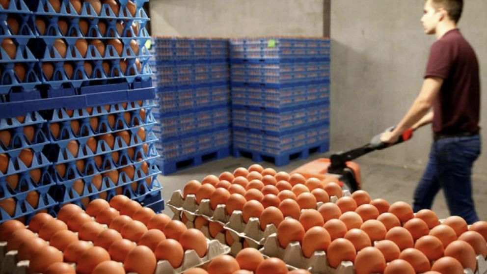 Exportaciones: más huevos, más cerdo (y más dólares para Argentina)