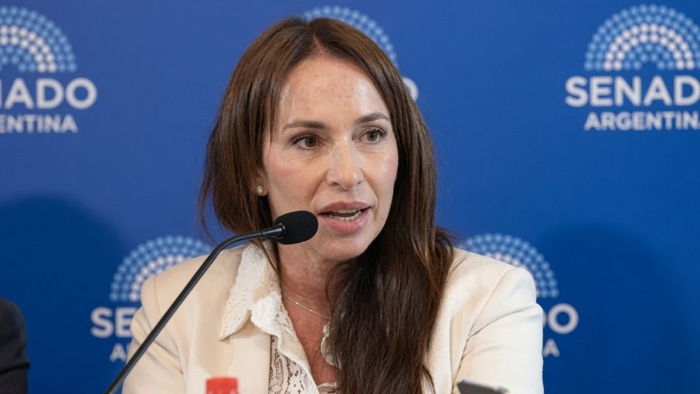 Mahiques puso en duda el nombramiento de Michelli: "El Senado habilitó al Presidente, pero no lo obligó"