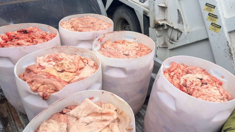 Abigeato en Mendoza: la Policía Rural incautó más de 850 kilos de productos cárnicos en mal estado