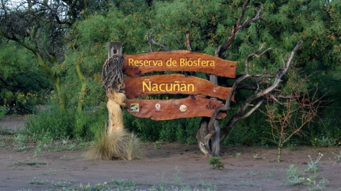 Ñacuñán